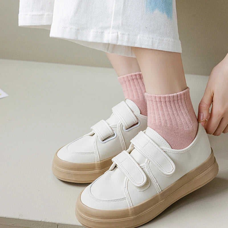 Candy Cotton Ankle Socks